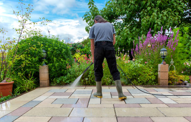 Best Driveway Pressure Washing  in Lebanon, VA