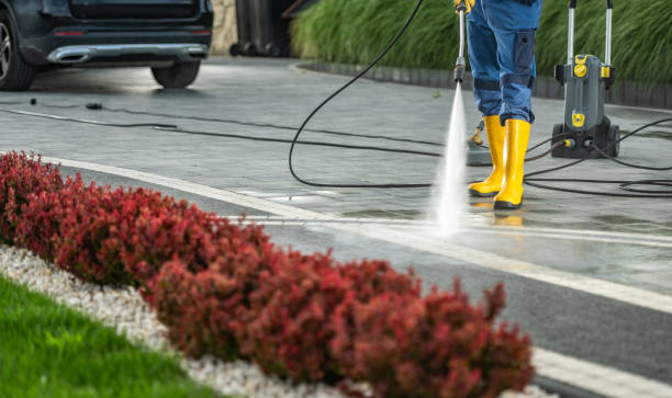 Best Sidewalk and Walkway Cleaning  in Lebanon, VA